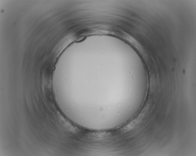 X0000062841193200601272008