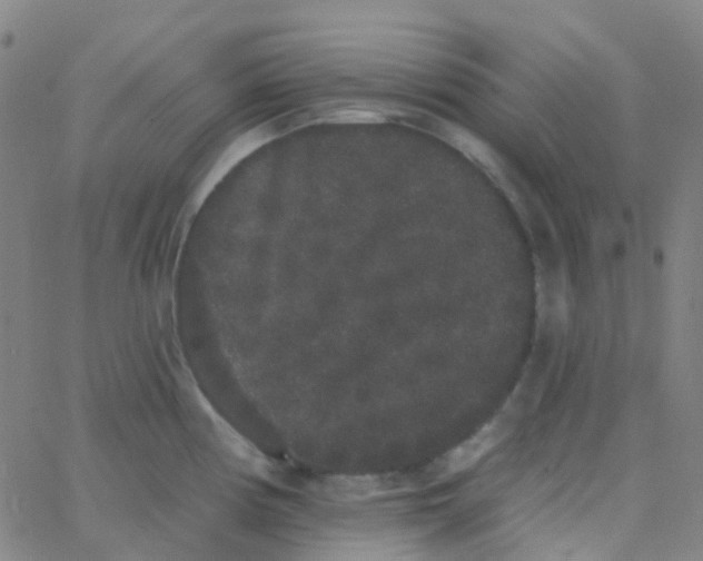 X0000062841194200601272008