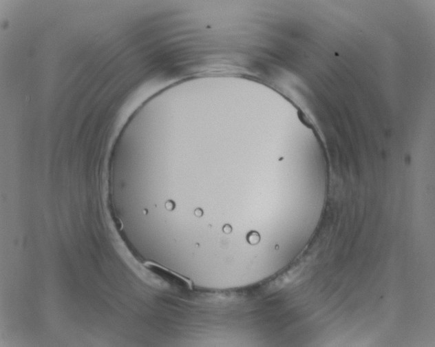 X0000062841195200601272008