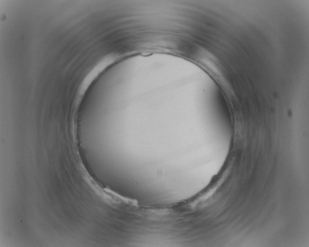 X0000062841196200601272008