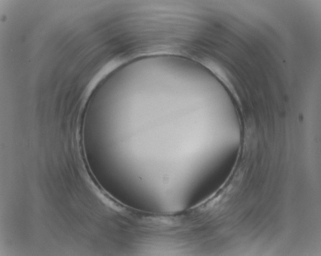 X0000062841197200601272008