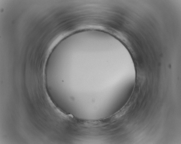 X0000062841199200601272008