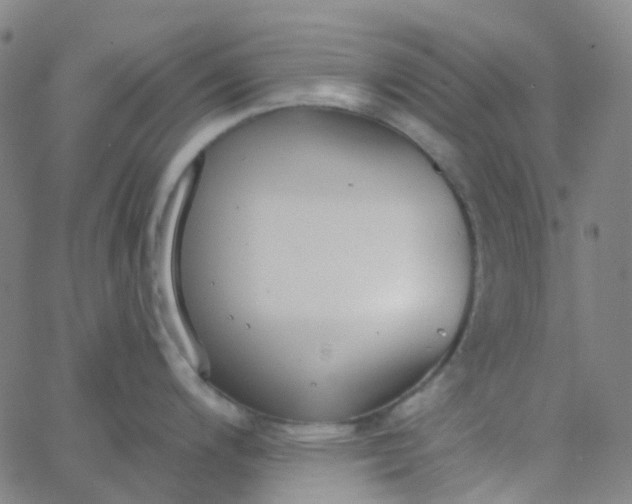 X0000062841200200601272008