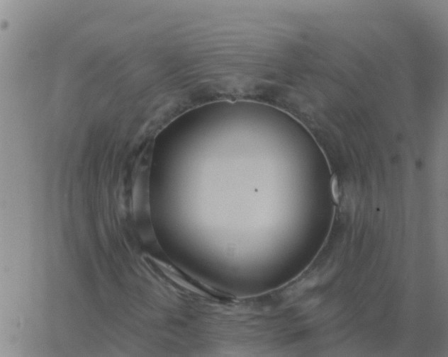 X0000062841202200601272007