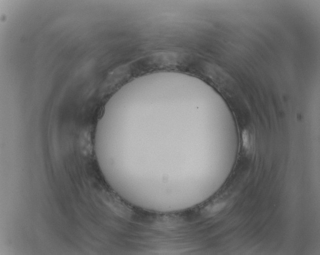 X0000062841203200601272007