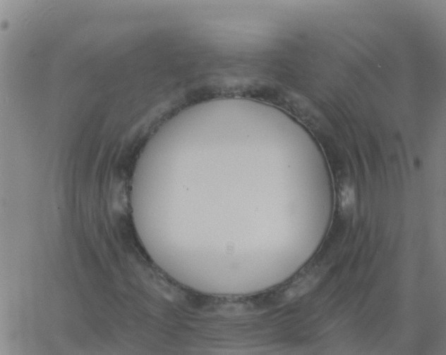 X0000062841204200601272007