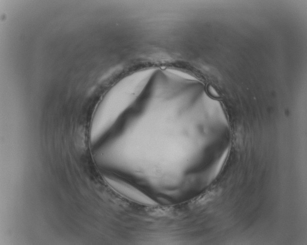 X0000062841205200601272007