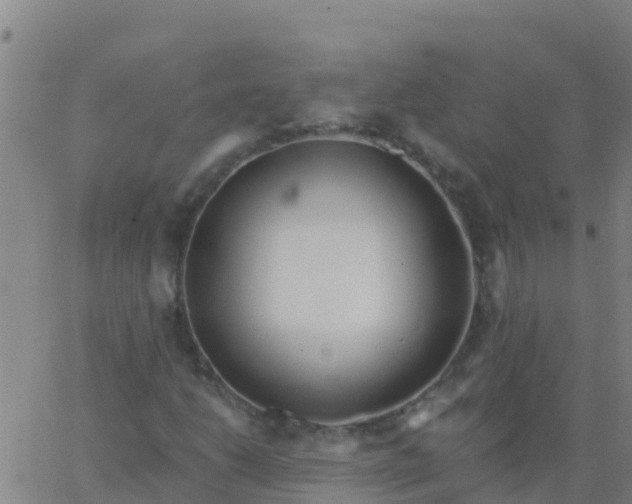 X0000062841206200601272007