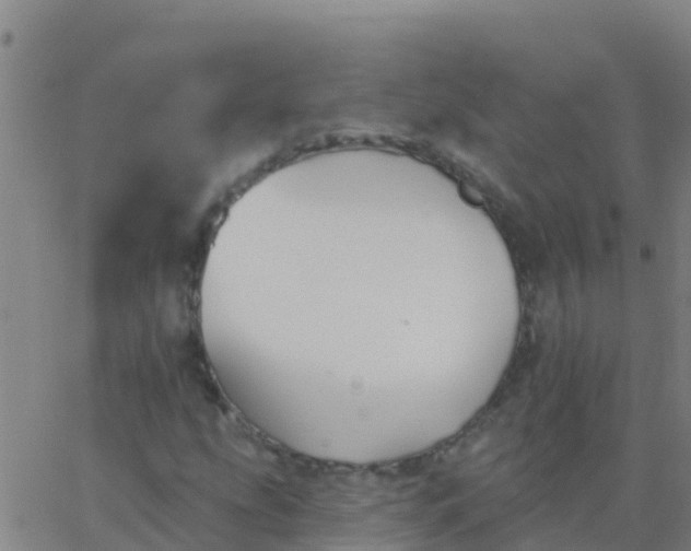 X0000062841207200601272008