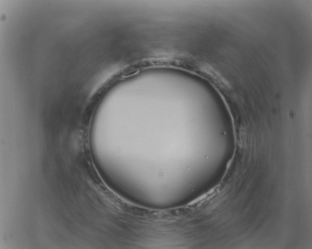 X0000062841208200601272008