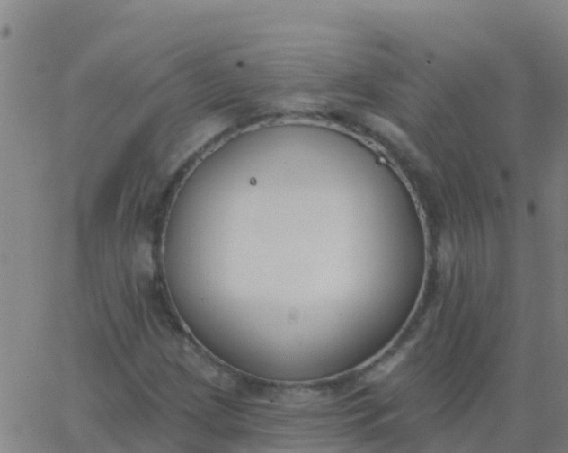 X0000062841209200601272008