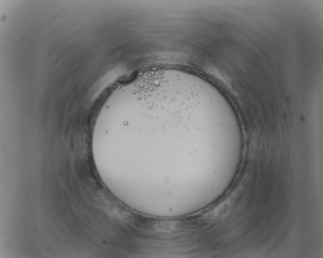 X0000062841211200601272008