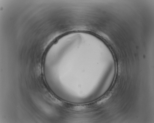 X0000062841212200601272008