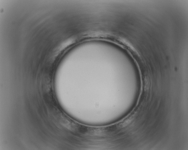 X0000062841213200601272008