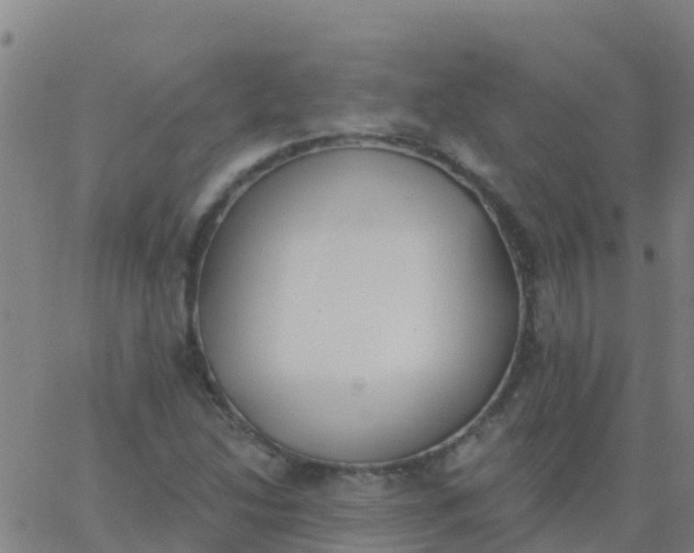 X0000062841214200601272008