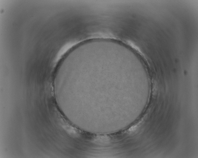 X0000062841215200601272008