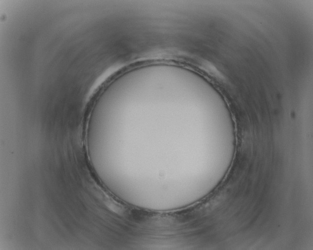 X0000062841216200601272008