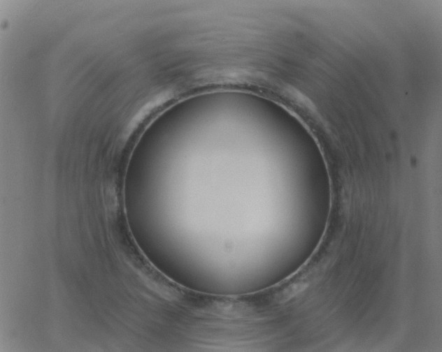 X0000062841218200601272008