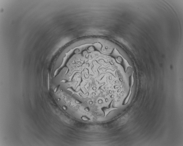 X0000062841219200601272008