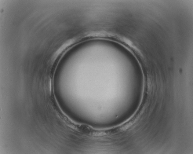 X0000062841221200601272008