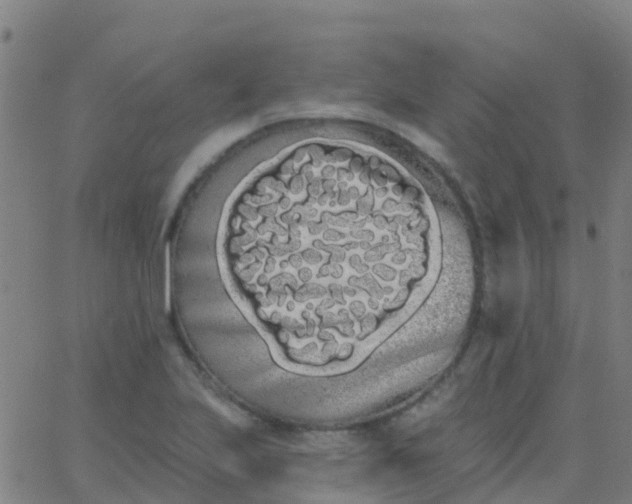 X0000062841223200601272008