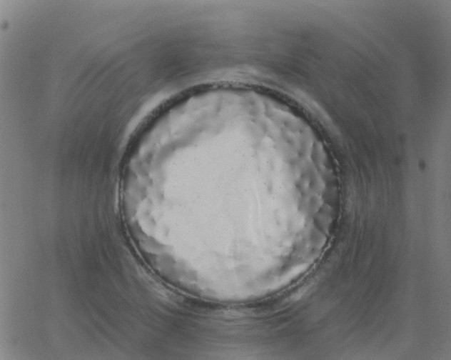 X0000062841224200601272008