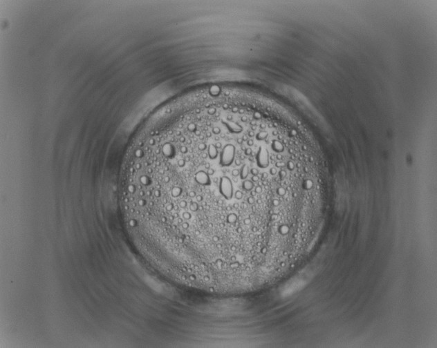 X0000062841225200601272008