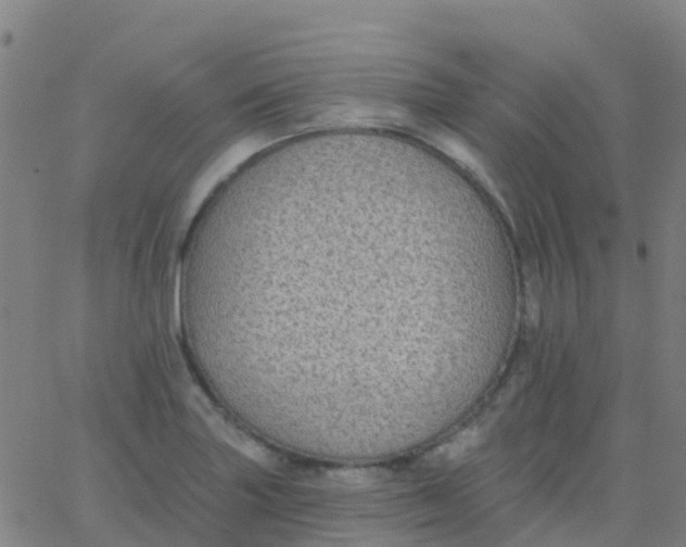 X0000062841227200601272008