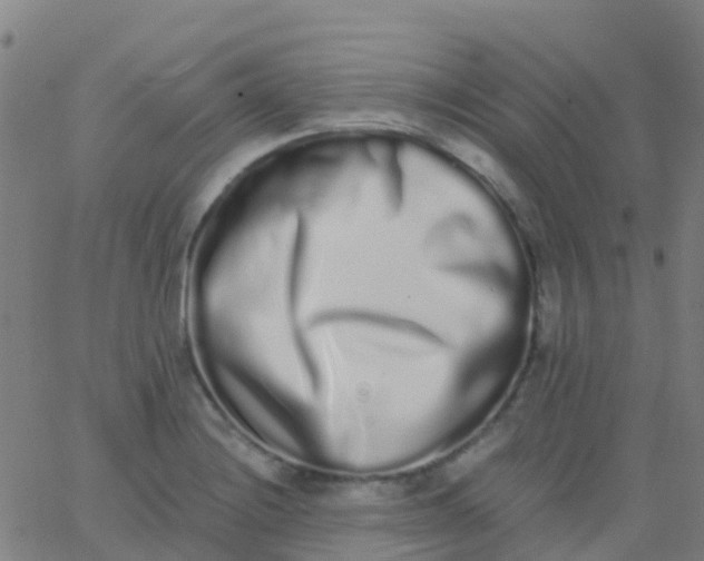 X0000062841228200601272008