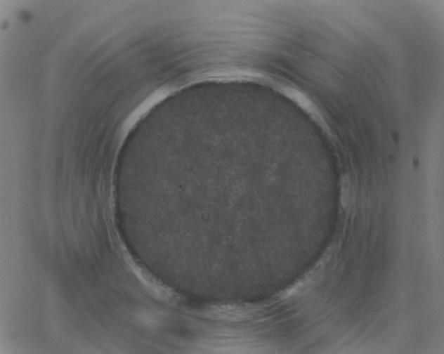 X0000062841229200601272008