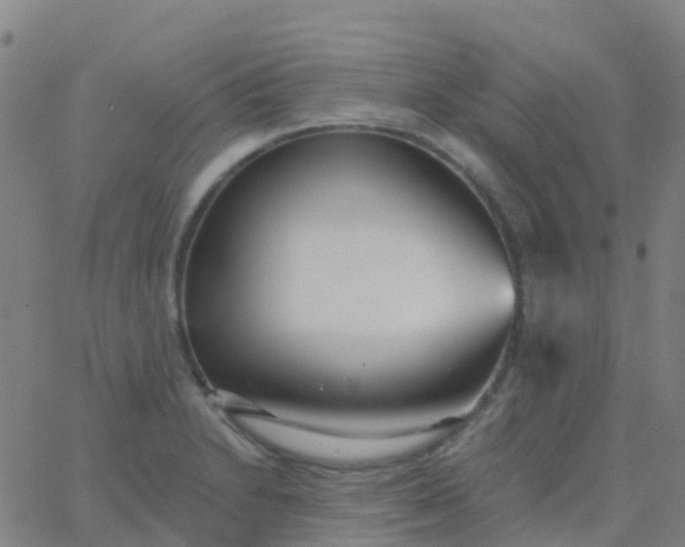 X0000062841230200601272008