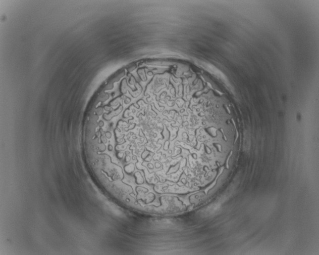 X0000062841231200601272008