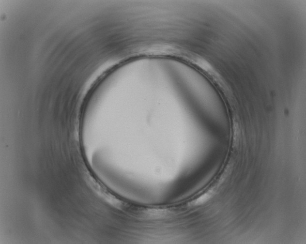 X0000062841232200601272008