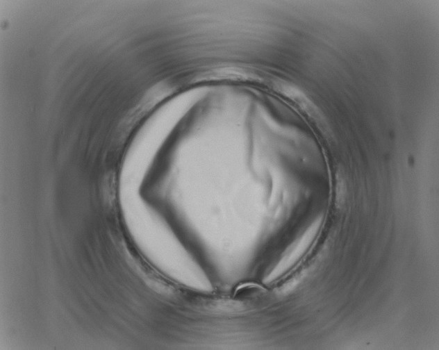 X0000062841233200601272008