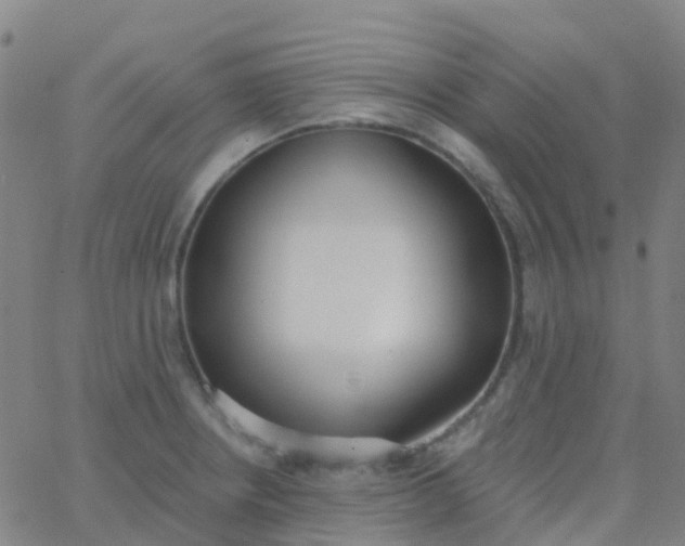 X0000062841234200601272008