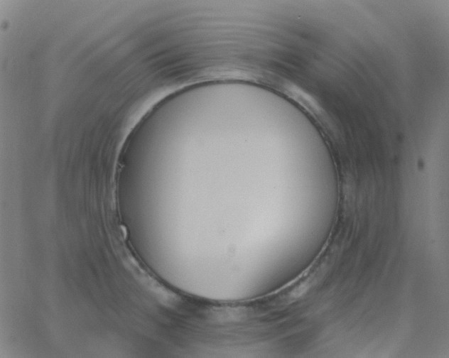 X0000062841236200601272008