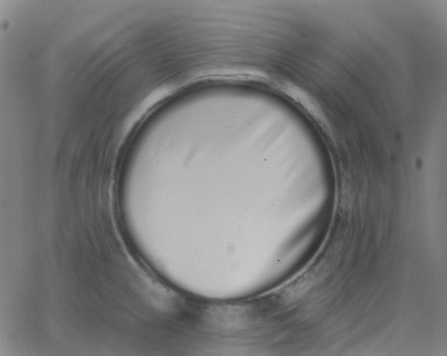 X0000062841237200601272008