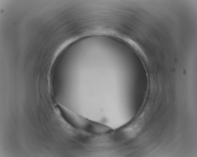 X0000062841238200601272008