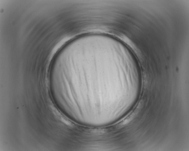 X0000062841240200601272008