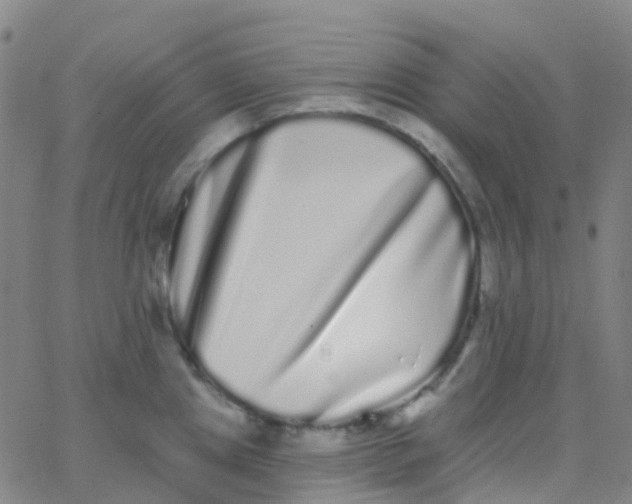 X0000062841241200601272008