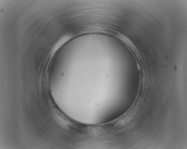 X0000062841242200601272008