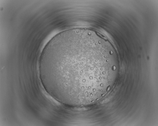 X0000062841243200601272008