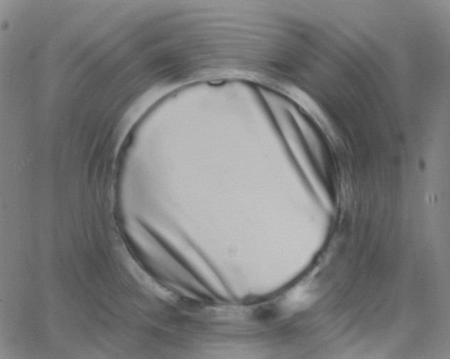 X0000062841244200601272008