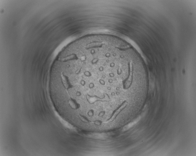 X0000062841245200601272008