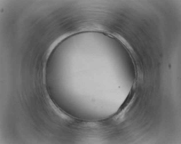 X0000062841246200601272008