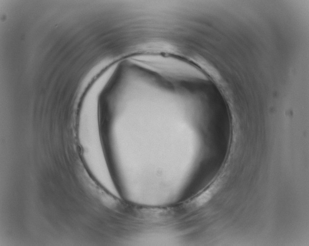 X0000062841248200601272008