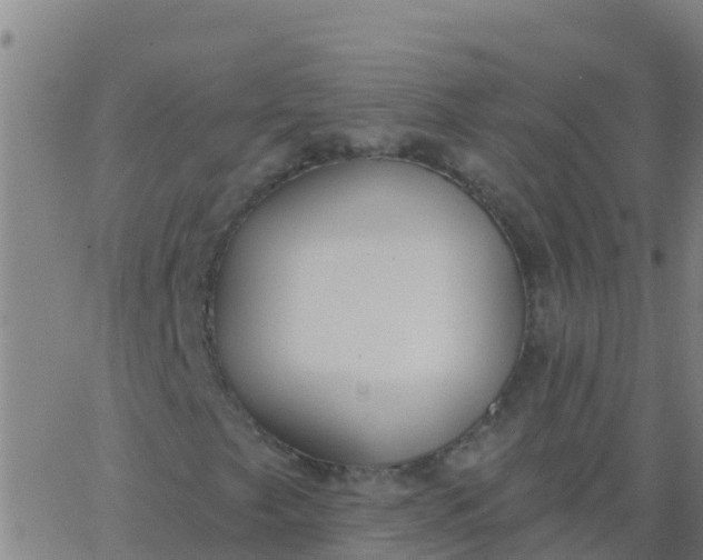 X0000062841249200601272007