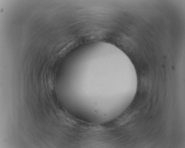 X0000062841250200601272007