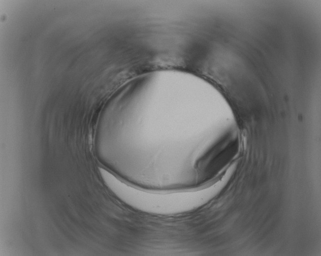 X0000062841251200601272007