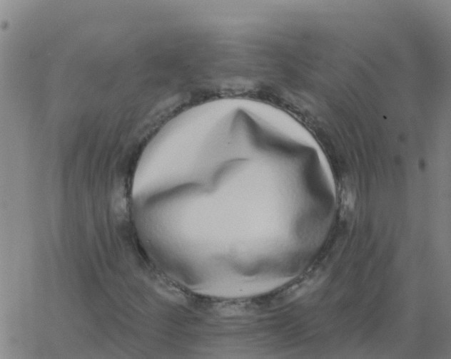 X0000062841252200601272007